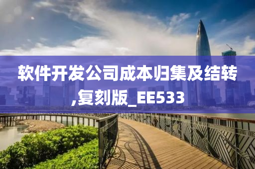 软件开发公司成本归集及结转,复刻版_EE533