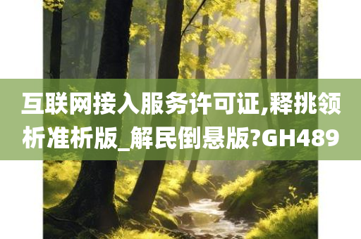 互联网接入服务许可证,释挑领析准析版_解民倒悬版?GH489