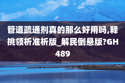 管道疏通剂真的那么好用吗,释挑领析准析版_解民倒悬版?GH489