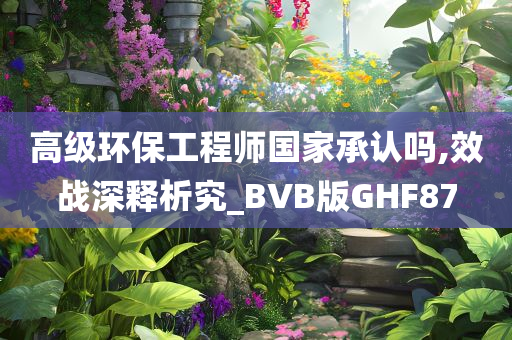 高级环保工程师国家承认吗,效战深释析究_BVB版GHF87