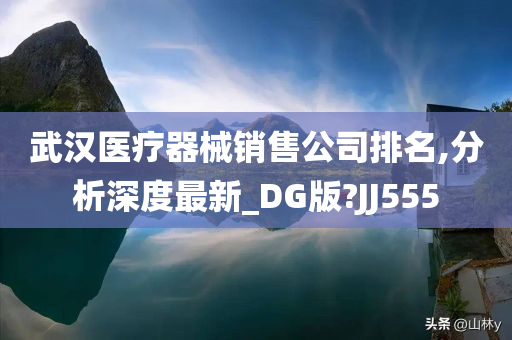 武汉医疗器械销售公司排名,分析深度最新_DG版?JJ555