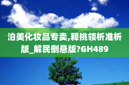 泊美化妆品专卖,释挑领析准析版_解民倒悬版?GH489