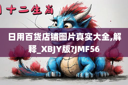 日用百货店铺图片真实大全,解释_XBJY版?JMF56