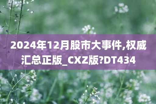 2024年12月股市大事件,权威汇总正版_CXZ版?DT434