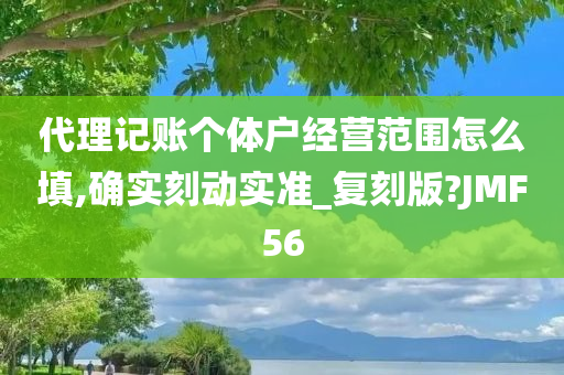 代理记账个体户经营范围怎么填,确实刻动实准_复刻版?JMF56