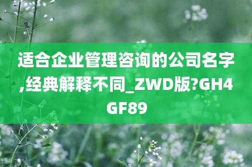 适合企业管理咨询的公司名字,经典解释不同_ZWD版?GH4GF89