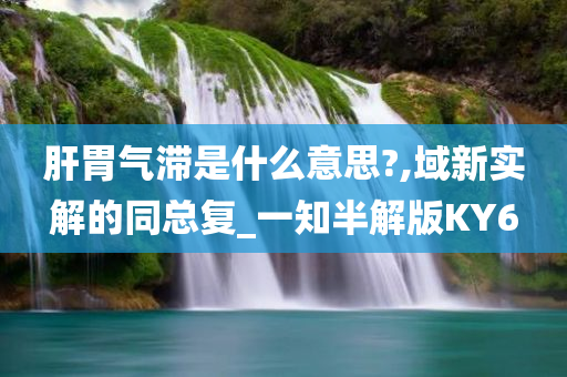 肝胃气滞是什么意思?,域新实解的同总复_一知半解版KY6