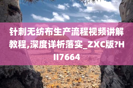 针刺无纺布生产流程视频讲解教程,深度详析落实_ZXC版?HII7664