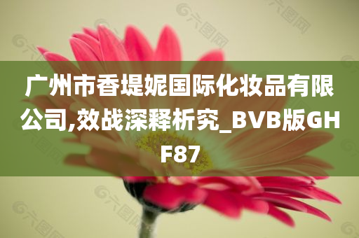 广州市香堤妮国际化妆品有限公司,效战深释析究_BVB版GHF87