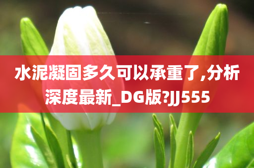 水泥凝固多久可以承重了,分析深度最新_DG版?JJ555