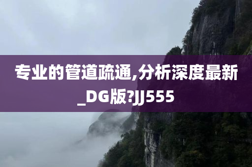 专业的管道疏通,分析深度最新_DG版?JJ555