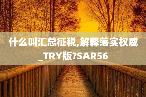 什么叫汇总征税,解释落实权威_TRY版?SAR56