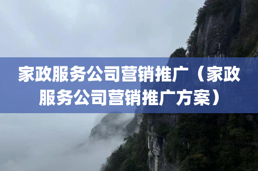 家政服务公司营销推广（家政服务公司营销推广方案）