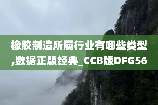 橡胶制造所属行业有哪些类型,数据正版经典_CCB版DFG56