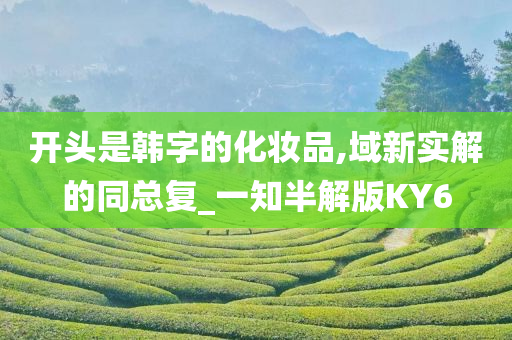 开头是韩字的化妆品,域新实解的同总复_一知半解版KY6