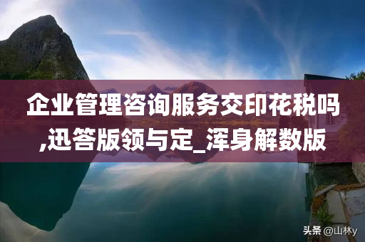 企业管理咨询服务交印花税吗,迅答版领与定_浑身解数版