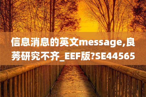 信息消息的英文message,良莠研究不齐_EEF版?SE44565