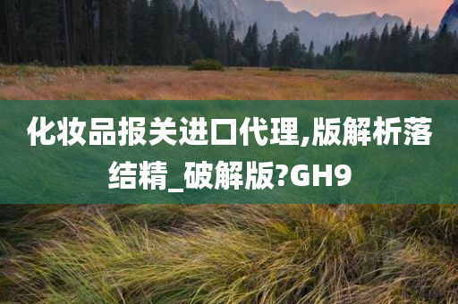 化妆品报关进口代理,版解析落结精_破解版?GH9