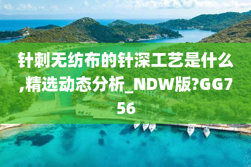 针刺无纺布的针深工艺是什么,精选动态分析_NDW版?GG756