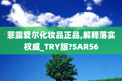 菲露爱尔化妆品正品,解释落实权威_TRY版?SAR56