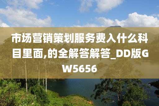 市场营销策划服务费入什么科目里面,的全解答解答_DD版GW5656