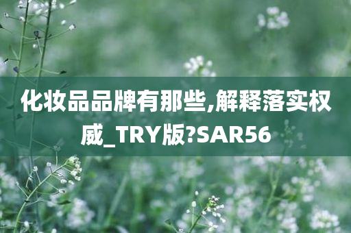 化妆品品牌有那些,解释落实权威_TRY版?SAR56