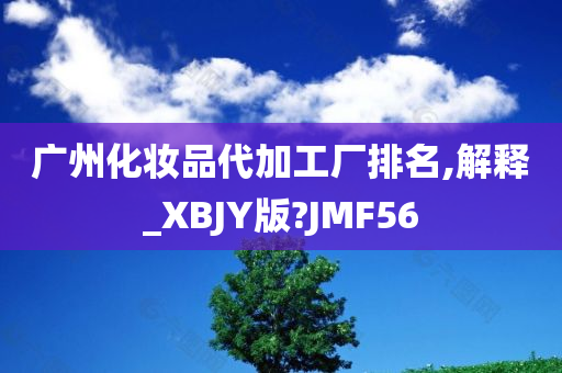 广州化妆品代加工厂排名,解释_XBJY版?JMF56