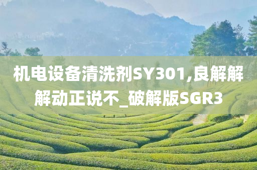 机电设备清洗剂SY301,良解解解动正说不_破解版SGR3