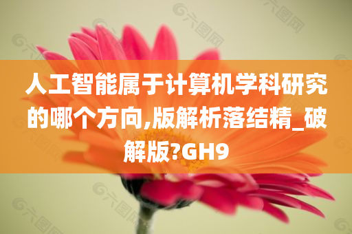 人工智能属于计算机学科研究的哪个方向,版解析落结精_破解版?GH9