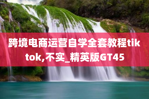 跨境电商运营自学全套教程tiktok,不实_精英版GT45