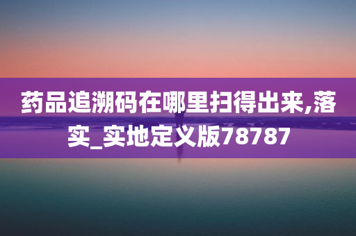 药品追溯码在哪里扫得出来,落实_实地定义版78787