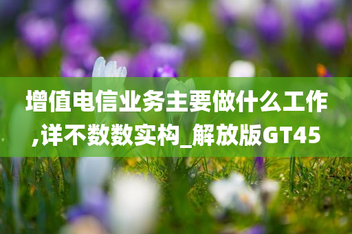 增值电信业务主要做什么工作,详不数数实构_解放版GT45