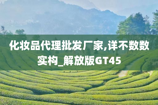 化妆品代理批发厂家,详不数数实构_解放版GT45