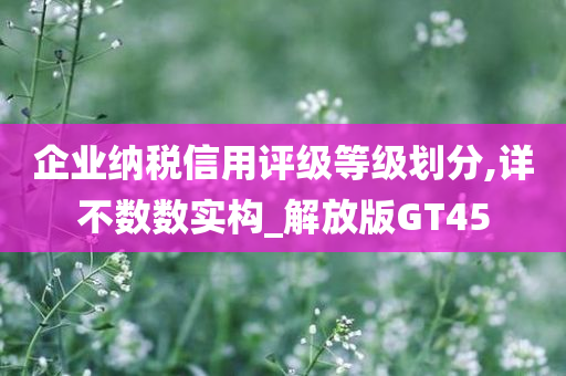 企业纳税信用评级等级划分,详不数数实构_解放版GT45