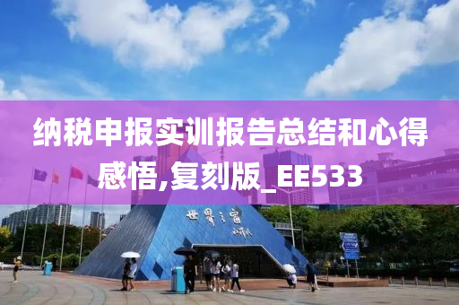 纳税申报实训报告总结和心得感悟,复刻版_EE533