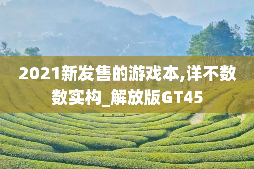 2021新发售的游戏本,详不数数实构_解放版GT45