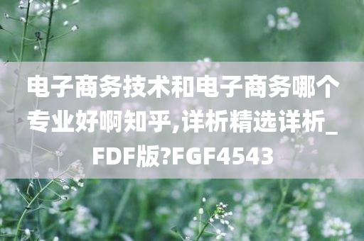 电子商务技术和电子商务哪个专业好啊知乎,详析精选详析_FDF版?FGF4543