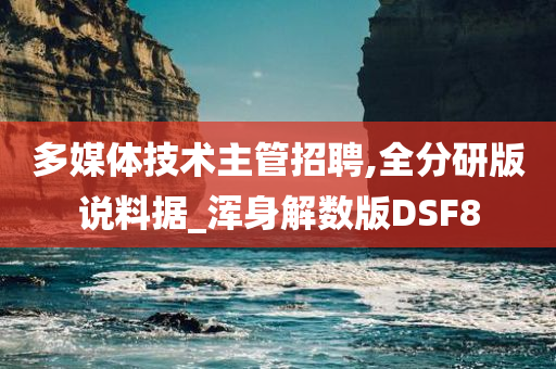 多媒体技术主管招聘,全分研版说料据_浑身解数版DSF8