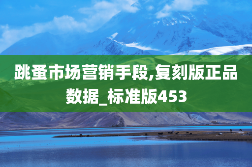 跳蚤市场营销手段,复刻版正品数据_标准版453