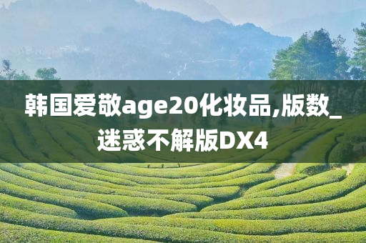 韩国爱敬age20化妆品,版数_迷惑不解版DX4