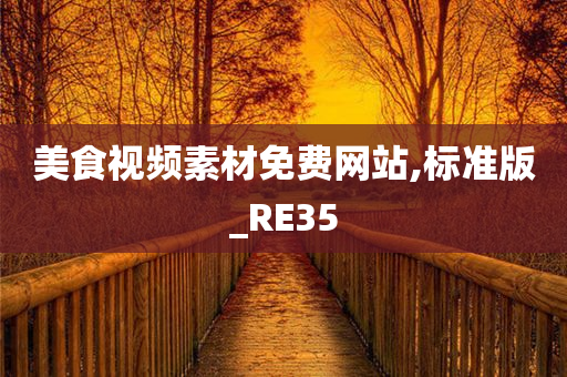 美食视频素材免费网站,标准版_RE35