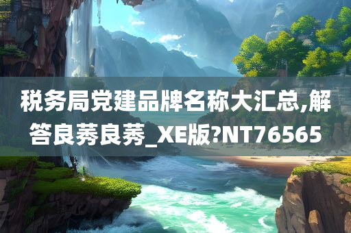 税务局党建品牌名称大汇总,解答良莠良莠_XE版?NT76565