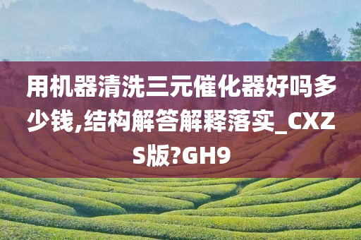 用机器清洗三元催化器好吗多少钱,结构解答解释落实_CXZS版?GH9