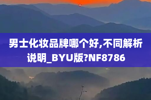 男士化妆品牌哪个好,不同解析说明_BYU版?NF8786