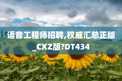 语音工程师招聘,权威汇总正版_CXZ版?DT434