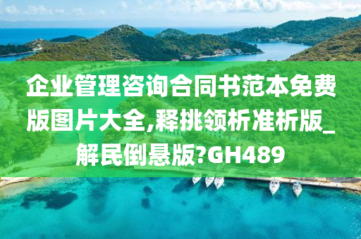 企业管理咨询合同书范本免费版图片大全,释挑领析准析版_解民倒悬版?GH489