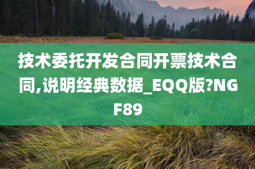 技术委托开发合同开票技术合同,说明经典数据_EQQ版?NGF89