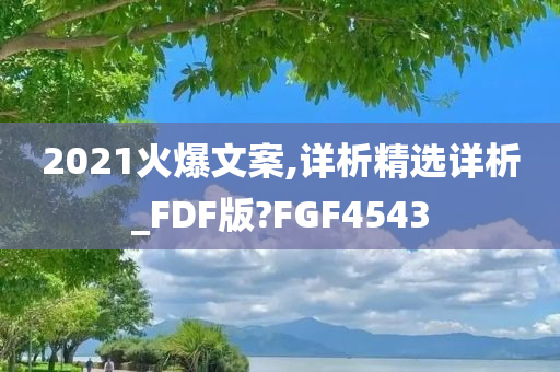 2021火爆文案,详析精选详析_FDF版?FGF4543