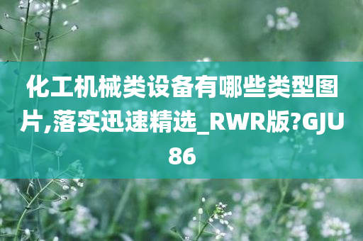 化工机械类设备有哪些类型图片,落实迅速精选_RWR版?GJU86