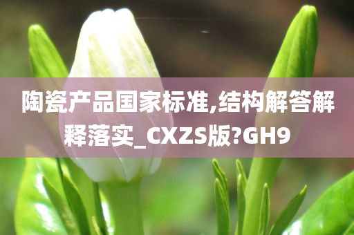 陶瓷产品国家标准,结构解答解释落实_CXZS版?GH9